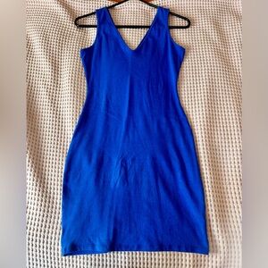 Blue Wild Fable dress